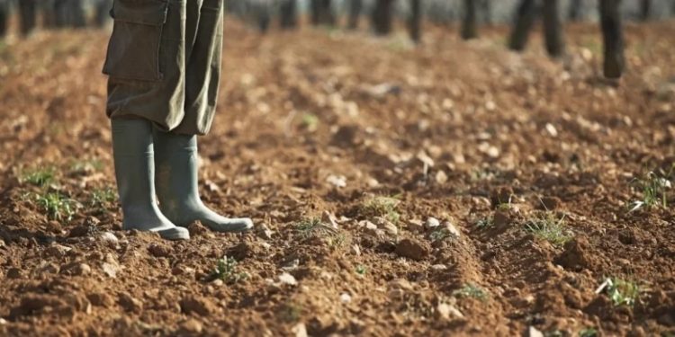 Οικογένεια από τα Τρίκαλα φέρεται να εισέπραξε 1.000.000 ευρώ για υπεράριθμα ζώα