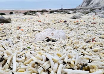 Αγγλία: Χιλιάδες τηγανητές πατάτες και κρεμμύδια ξεβράστηκαν σε παραλία