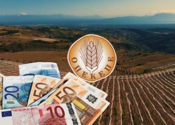 Αποκάλυψη σοκ: Κτηνοτρόφο στα Τρίκαλα τον έπιασε η Ευρωπαϊκή Εισαγγελία για απάτες… αλλά πληρώνεται κανονικά από ΟΠΕΚΕΠΕ