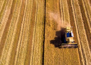 Πώς θα προστατεύονται οι Έλληνες παραγωγοί και τα 21 ελληνικά ΠΟΠ προϊόντα στη Συμφωνία Mercosur