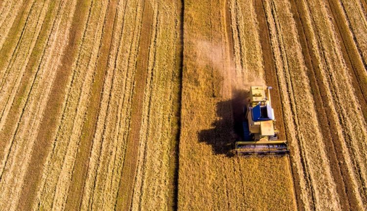 Πώς θα προστατεύονται οι Έλληνες παραγωγοί και τα 21 ελληνικά ΠΟΠ προϊόντα στη Συμφωνία Mercosur