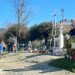Συγκίνηση: 29 νέοι της Ευρώπης μέσω Κατερίνης στο μνημείο των Τεμπών για να καλλωπίσουν τις 57 ελιές (ΦΩΤΟ)