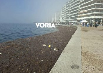 Γέμισε ο Θερμαϊκός στη Θεσσαλονίκη με χιλιάδες πλαστικά, καλαμιές και φελιζόλ