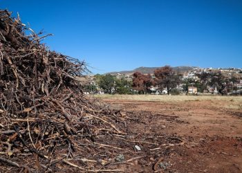 Καθαρισμός οικοπέδων: Τι αλλάζει με το νέο νομοσχέδιο – Μέχρι πότε παρατείνεται η δήλωσή τους