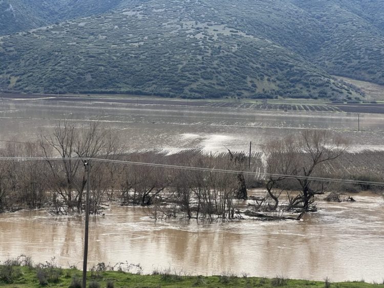 Δείτε βίντεο και φωτογραφίες: Υπερχείλισε ο Πηνειός από την Πηνειάδα έως το Κουτσόχερο – Πλημμύρισαν αγροτικές εκτάσεις