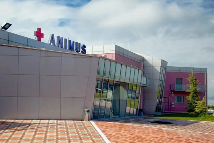 Λάρισα: Ανακλήθηκε μερικώς η άδεια λειτουργίας δύο χώρων νοσηλείας σε υπόγεια του ANIMUS