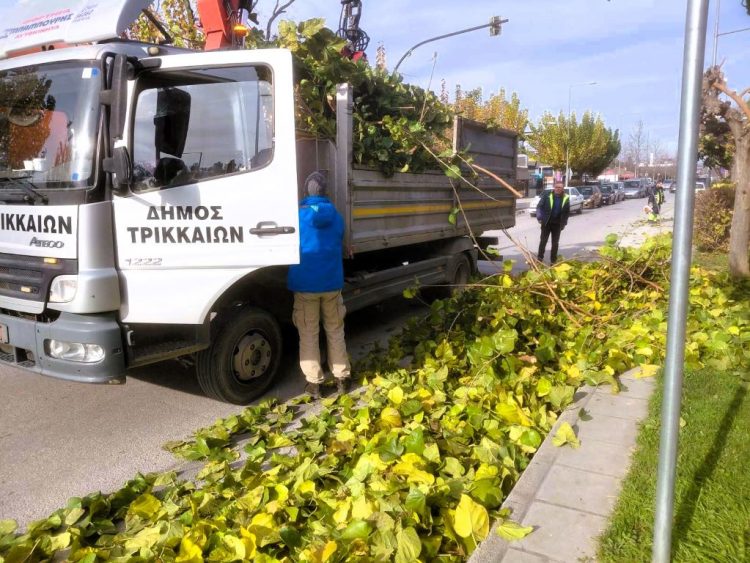 Σε 1.700+ δέντρα η πρώτη φάση κλάδευσης από τον Δήμο Τρικκαίων
