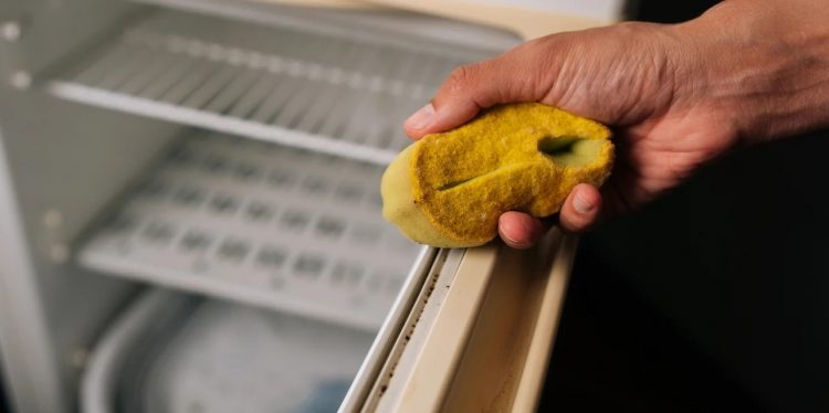 Πώς να καθαρίσετε το λάστιχο της πόρτας του ψυγείου -Σημειώστε αυτές τις συμβουλές