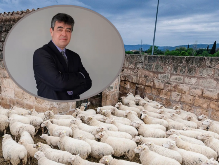 Ευλογιά αιγοπροβάτων: Επιστημονικές επισημάνσεις για την τεκμηρίωση και την ασφάλεια του εμβολιασμού στην Ελλάδα