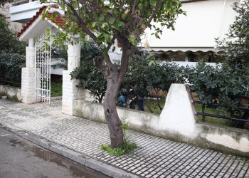 Ελευσίνα: Έβαλε κατά λάθος όπισθεν κα σκότωσε τη μητέρα της – «Ξεψύχησε μέσα σε 3 λεπτά»