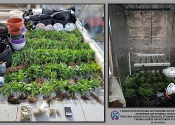 Εντοπίστηκε πλήρως εξοπλισμένη φυτεία κάνναβης σε οικία στα Τρίκαλα-Στα χέρια της αστυνομίας 37χρονος Τρικαλινός