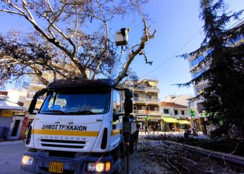 Συνεχίζονται τα κλαδέματα σε Τρίκαλα και χωριά από τον Δ. Τρικκαίων