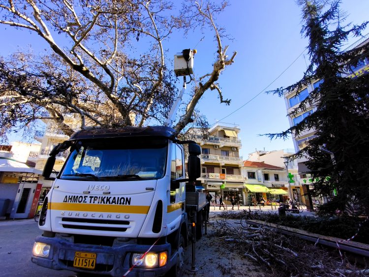 Συνεχίζονται τα κλαδέματα σε Τρίκαλα και χωριά από τον Δ. Τρικκαίων
