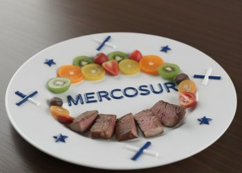 Συμφωνία ΕΕ-Mercosur: Συμφωνίες και αναπαραστάσεις: Η απόκλιση μεταξύ αφήγησης και πραγματικότητας