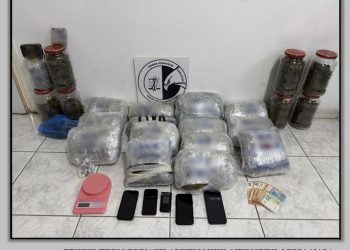 Πέντε συλλήψεις σε περιοχές της Καρδίτσας και των Τρικάλων για μεγάλη ποσότητα ναρκωτικών