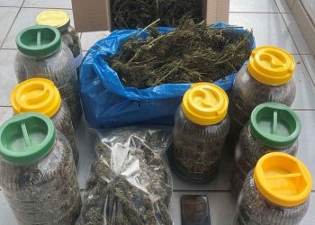 Μεγάλη ποσότητα κάνναβης κατασχέθηκε στα Τρίκαλα – Συνελήφθη 59χρονος