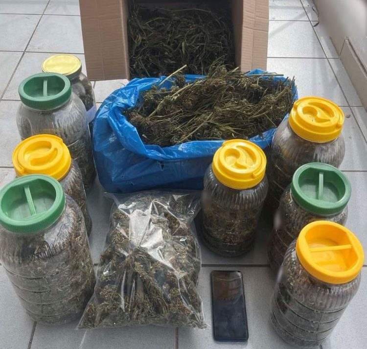 Μεγάλη ποσότητα κάνναβης κατασχέθηκε στα Τρίκαλα – Συνελήφθη 59χρονος