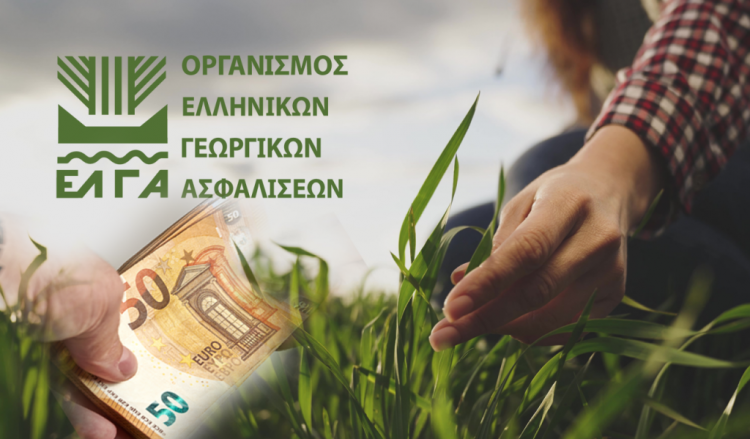 ΕΛΓΑ: Πληρώνει σήμερα αποζημιώσεις ύψους 18,3 εκατ. ευρώ σε 8.480 δικαιούχους