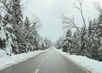 Περτούλι: Μαγικές εικόνες από τα χιονισμένα ορεινά των Τρικάλων