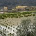 Υπερχείλισαν ποτάμια στην Ήπειρο: Στα λασπόνερα χιλιάδες στρέμματα καλλιεργήσιμης γης