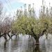Χωρίς ψιλά γράμματα με έντοκες επιστροφές η εξόφληση στο φυτικό κεφάλαιο Daniel, προς καλοκαίρι η ουρά 40%