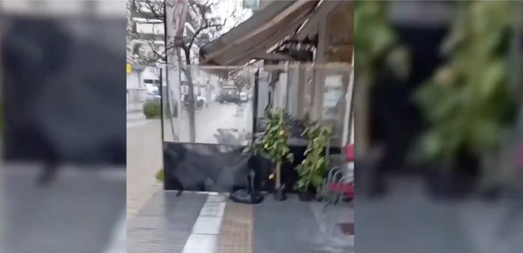 Βίντεο από τη Θεσσαλία έγινε viral: Τραπεζοκαθίσματα πάνω σε λωρίδα για τυφλούς