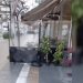 Βίντεο από τη Θεσσαλία έγινε viral: Τραπεζοκαθίσματα πάνω σε λωρίδα για τυφλούς