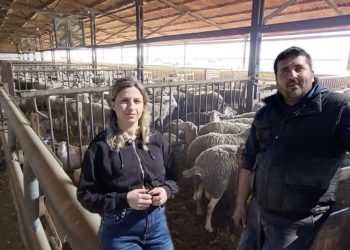 Το νεαρό ζευγάρι που ζει στους πρόποδες του Ολύμπου και συνεχίζει με μεράκι την κτηνοτροφική παράδοση (video)