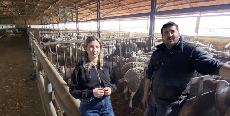 Το νεαρό ζευγάρι που ζει στους πρόποδες του Ολύμπου και συνεχίζει με μεράκι την κτηνοτροφική παράδοση (video)