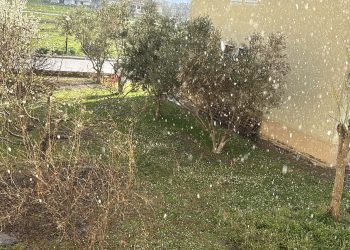 Τρίκαλα: Ξαφνικό χαλάζι με 17 βαθμούς Κελσίου και ήλιο!!! (ΦΩΤΟ – ΒΙΝΤΕΟ)