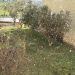Τρίκαλα: Ξαφνικό χαλάζι με 17 βαθμούς Κελσίου και ήλιο!!! (ΦΩΤΟ – ΒΙΝΤΕΟ)