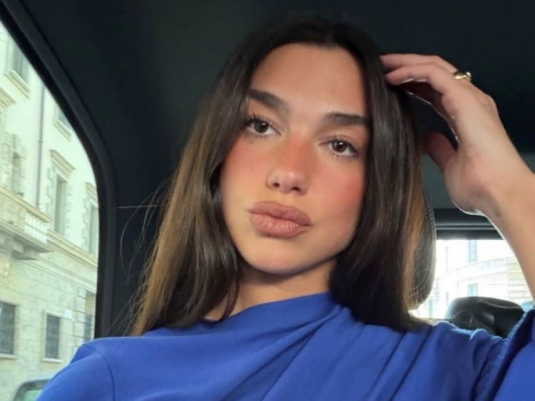 4 ρουζ για να πετύχεις το blush blindness effect της Dua Lipa