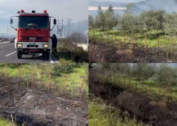 Ε.Ο. Καλαμπάκας – Τρικάλων: Άμεση κινητοποίηση της Πυροσβεστικής Υπηρεσίας λόγω φωτιάς (ΕΙΚΟΝΕΣ)