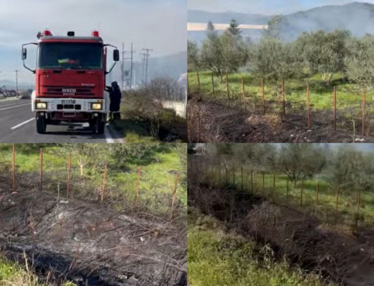 Ε.Ο. Καλαμπάκας – Τρικάλων: Άμεση κινητοποίηση της Πυροσβεστικής Υπηρεσίας λόγω φωτιάς (ΕΙΚΟΝΕΣ)