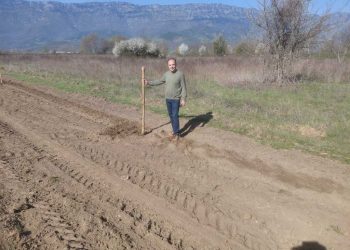 Ακόμη 40 δέντρα από τον Δήμο Τρικκαίων στο Διαλεχτό