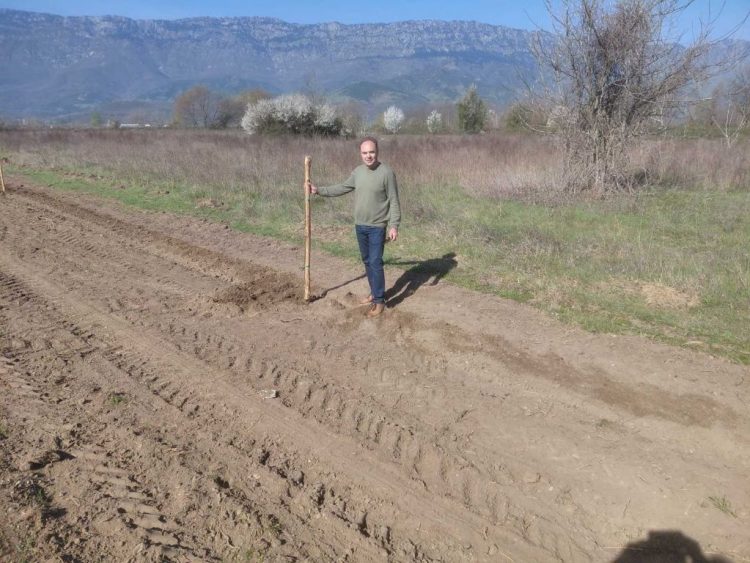 Ακόμη 40 δέντρα από τον Δήμο Τρικκαίων στο Διαλεχτό