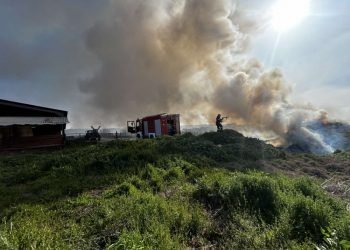 Ταχεία επέμβαση της Πυροσβεστικής Υπηρεσίας Καλαμπάκας σε φωτιά στην Σαρακίνα (ΕΙΚΟΝΕΣ)