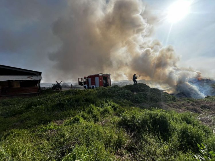 Ταχεία επέμβαση της Πυροσβεστικής Υπηρεσίας Καλαμπάκας σε φωτιά στην Σαρακίνα (ΕΙΚΟΝΕΣ)