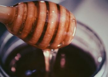 Βραζιλιάνοι επιστήμονες δημιούργησαν «σούπερ μέλι» με υποπροϊόντα από την παραγωγή σοκολάτας