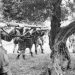 Οι Γερμανοί εγκληματίες πολέμου στην Ελλάδα και οι ποινές που τους επιβλήθηκαν