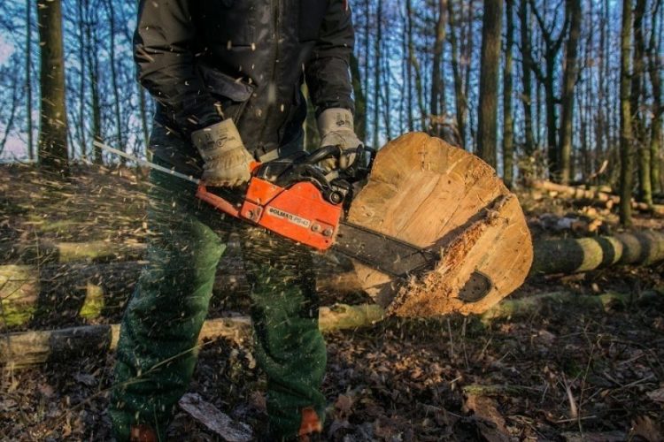 Νεκρός 67χρονος που έπεσε από δέντρο κατά τη διάρκεια εργασιών
