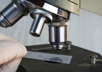 Επιστήμονες δημιούργησαν τον πρώτο οισοφάγο σε εργαστήριο