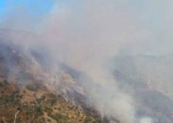 Συναγερμός στην Πυροσβεστική Καλαμπάκας – Μεγάλη φωτιά στη Χρυσομηλιά στο σημείο «Σημαία» (ΕΙΚΟΝΕΣ)