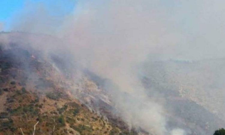 Συναγερμός στην Πυροσβεστική Καλαμπάκας – Μεγάλη φωτιά στη Χρυσομηλιά στο σημείο «Σημαία» (ΕΙΚΟΝΕΣ)