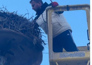 Tα χωριά του κάμπου του Δήμου Μετεώρων υποδέχονται την άνοιξη – Εθελοντική δράση για τη φωλιά των πελαργών στη Σαρακίνα