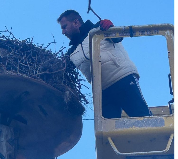 Tα χωριά του κάμπου του Δήμου Μετεώρων υποδέχονται την άνοιξη – Εθελοντική δράση για τη φωλιά των πελαργών στη Σαρακίνα