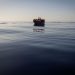 Νορβηγία: Συνελήφθη ο ιδρυτής της ΜΚΟ Aegean Boat Report – Εκκρεμούσε ελληνικό ένταλμα εις βάρος του
