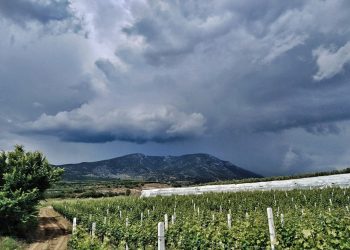 Τακούδης για αγρότες: Βροχές την επόμενη εβδομάδα