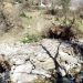 Η Ποταμιά Στουρναρέικων έρμαιο στα χέρια της αδιάφορης Δημοτικής Αρχής Μαράβα. Τουλάχιστον η Περιφέρεια ακούει;