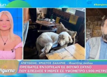 Χαλίκι Ασπροποτάμου: Η διάσωση του “Ασπρούλη” και ο επισκέπτης από την σαμπάνια Moët & Chandon (BINTEO)